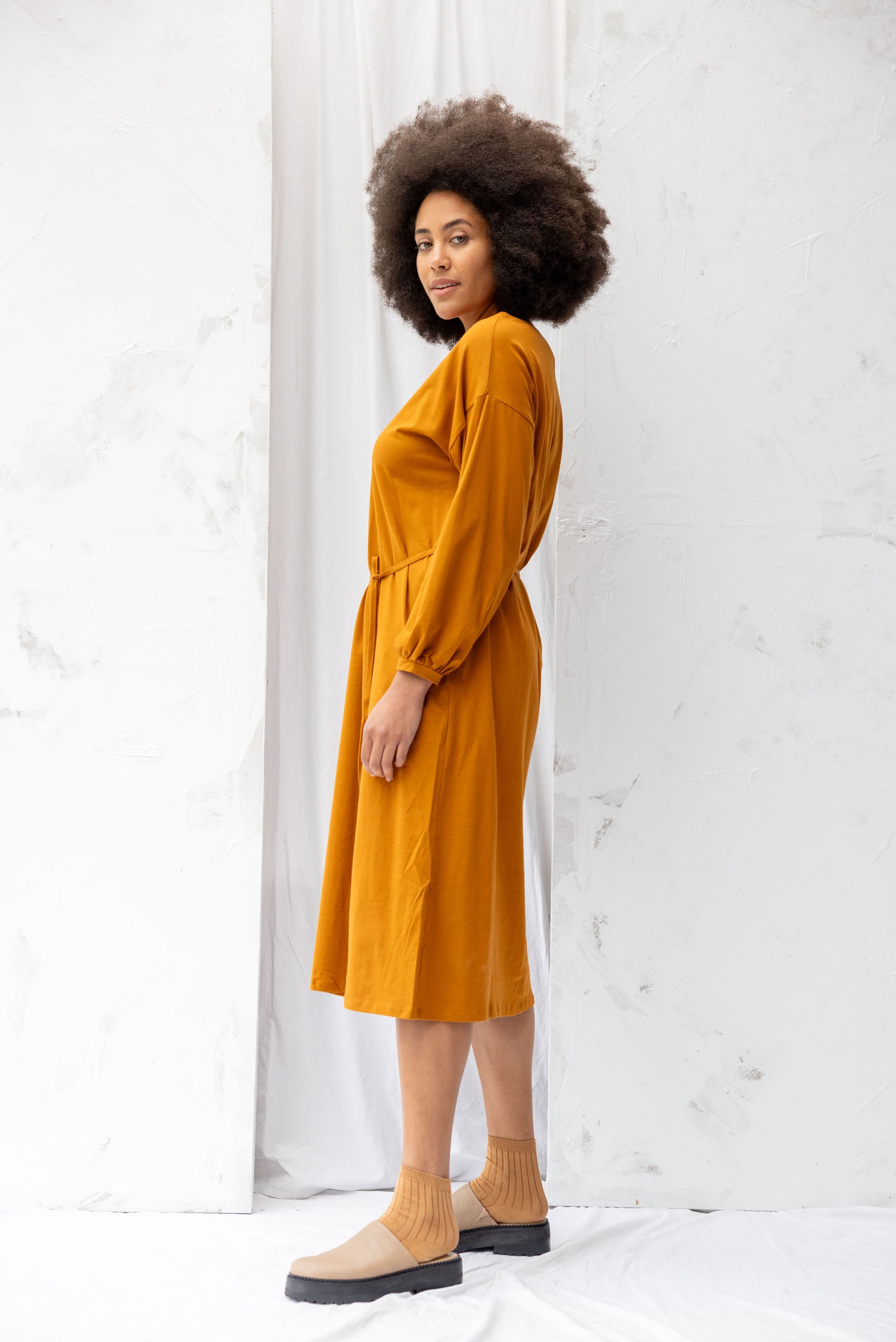 Accord Dress | Rust - ReCreate Clothing