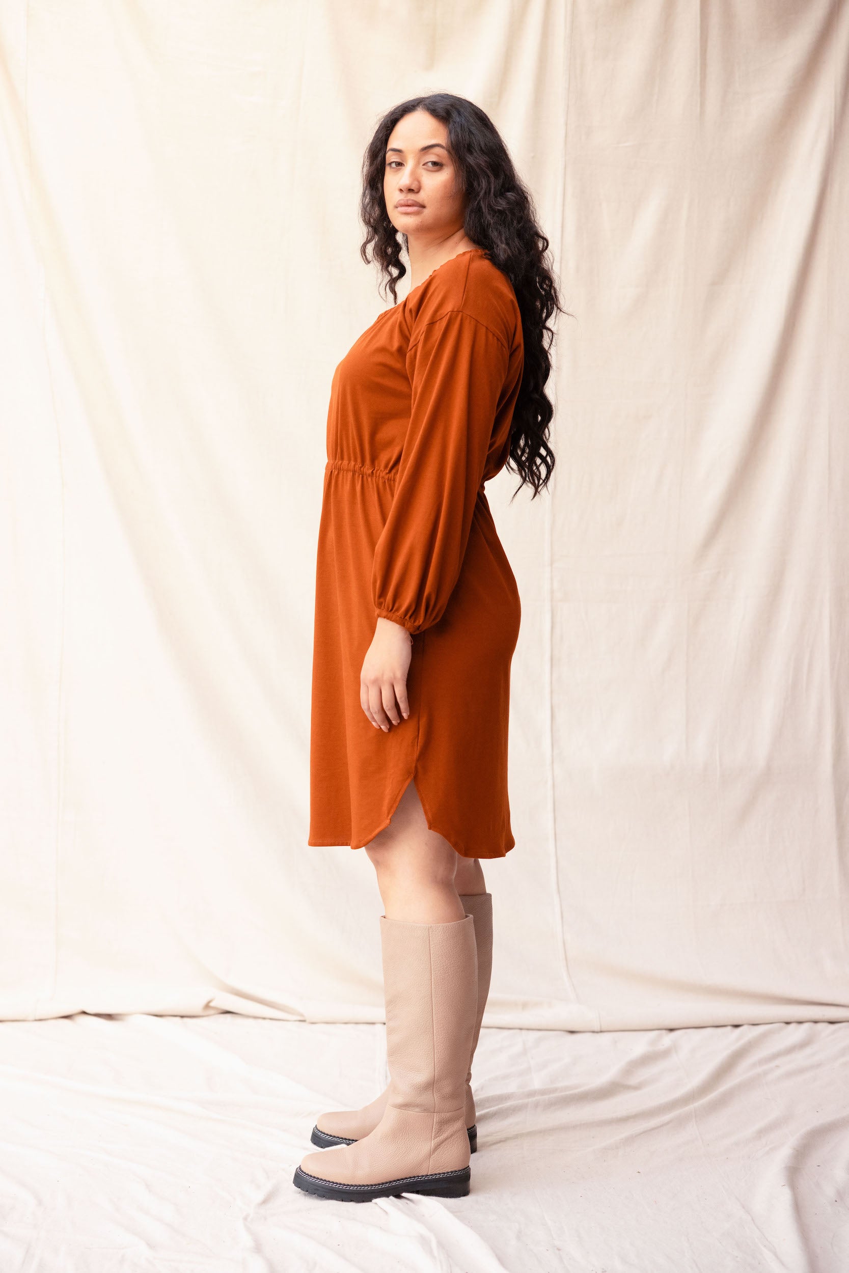 Rose Dress | Chestnut - ReCreate Clothing