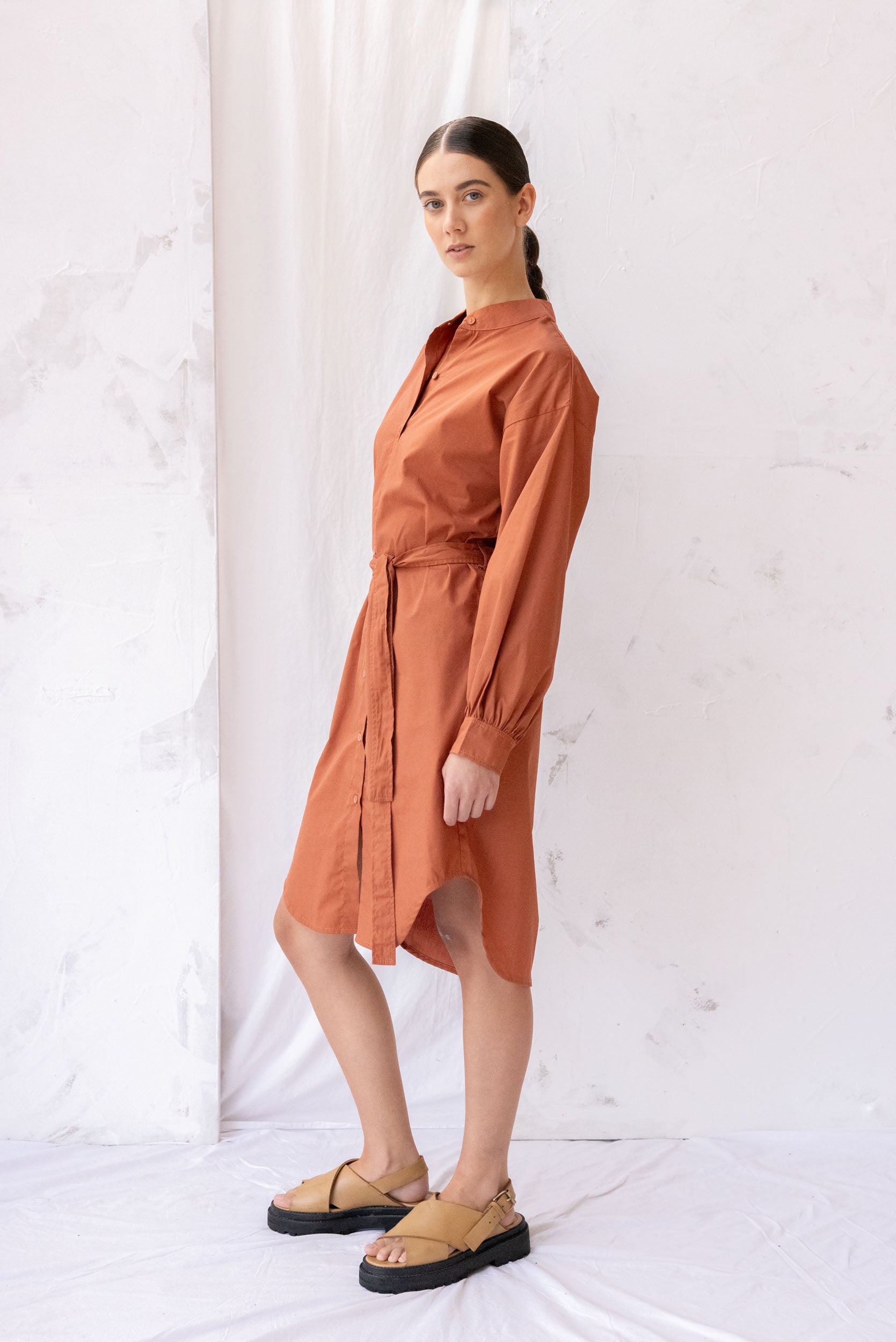 Paradox Dress | Burnt Sienna