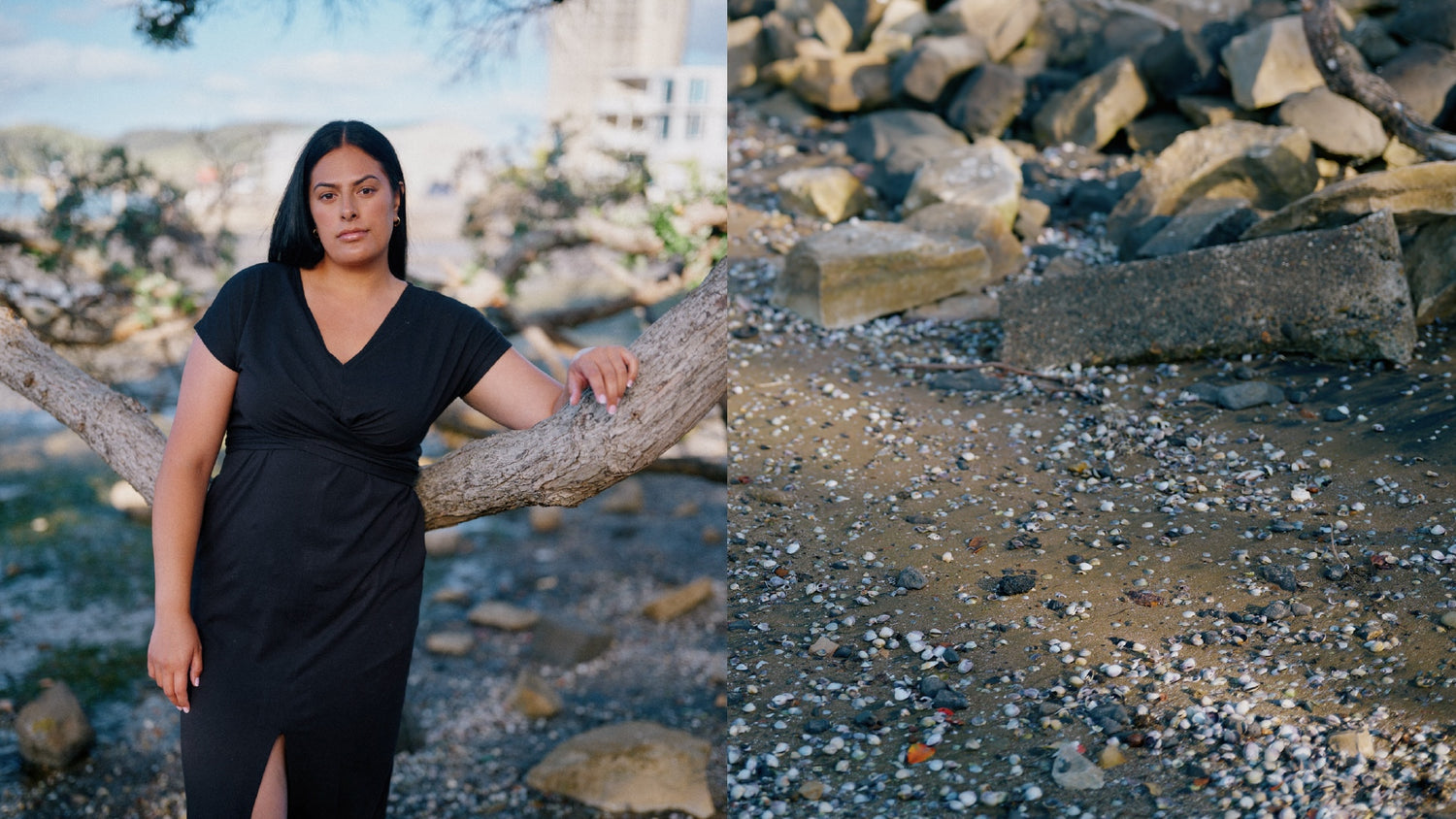 A split screen image. On the left, a women with long black hair and a black V neck dress leans against a tree branch.