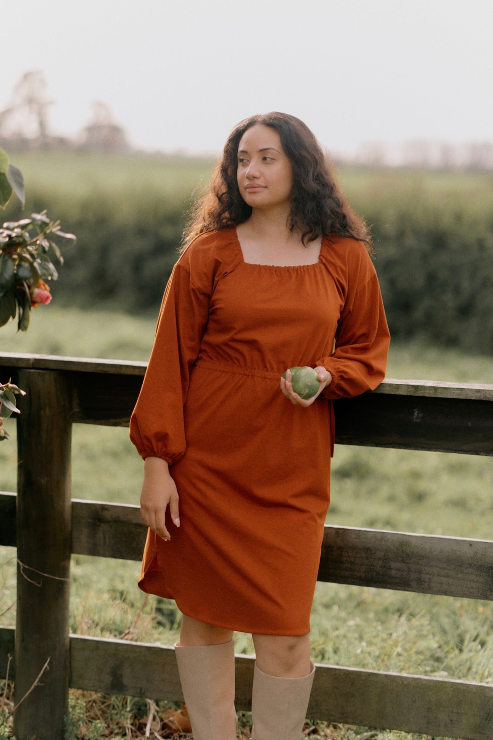 Rose Dress | Chestnut | M - ReCreate Clothing